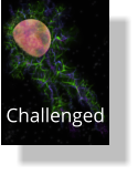 Challenged